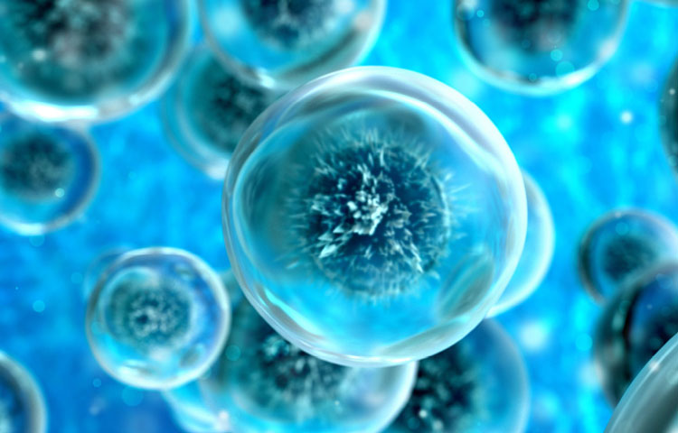 life sciences molecules