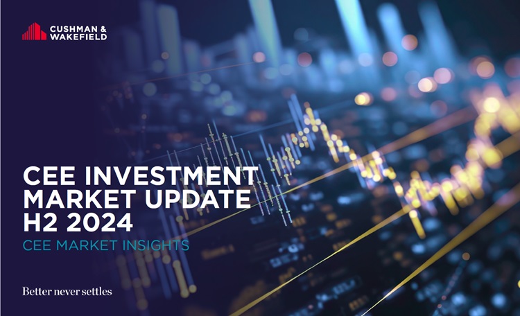 Investment report