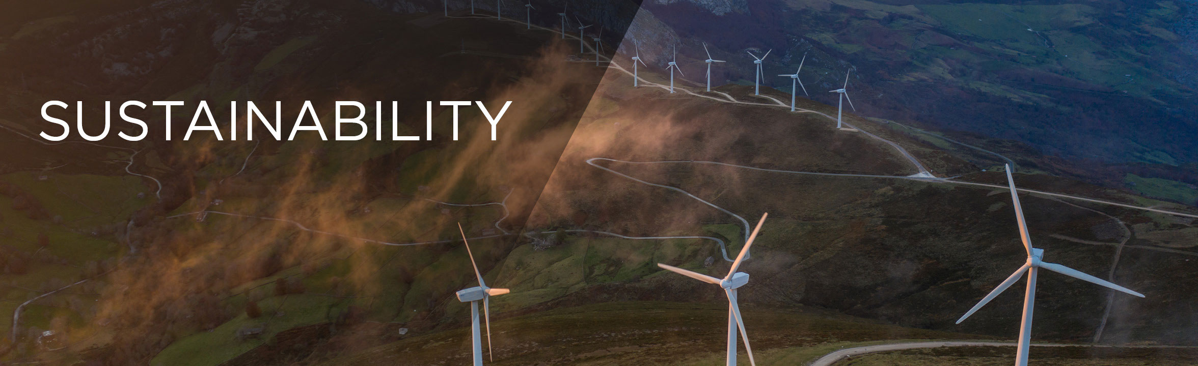 Sustainability (image)
