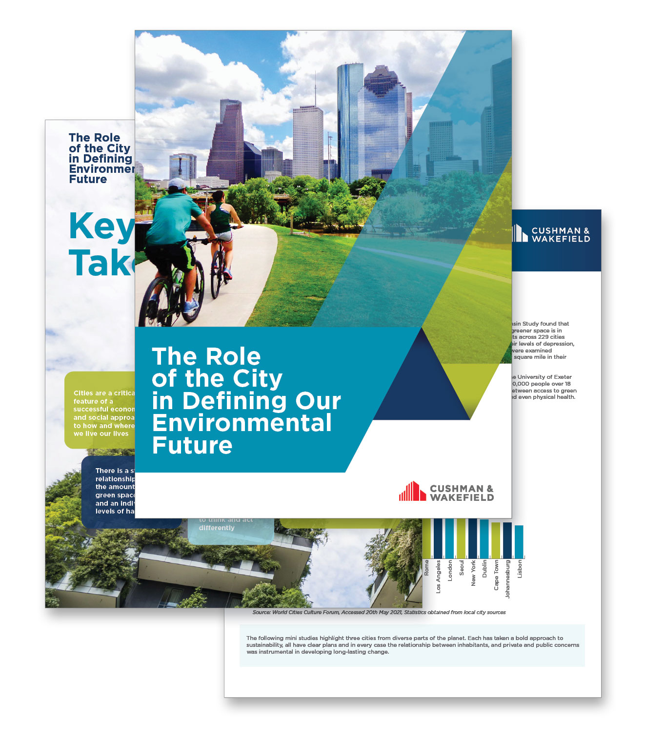 role of the city report (image)