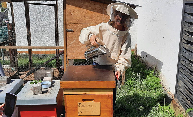 Bees_750x456